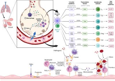 Blood filtering system for COVID-19 management: novel modality of the cytokine storm therapeutics